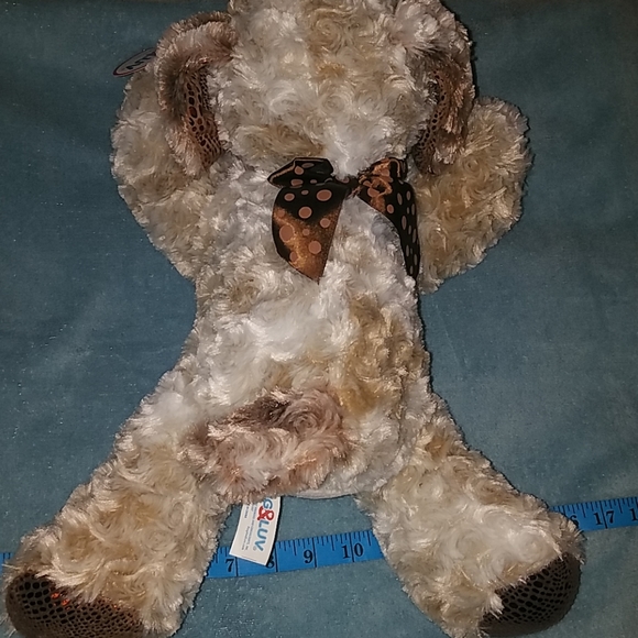 Brand new puppy - Picture 2 of 7